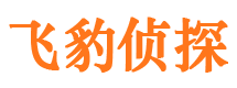 中方出轨调查